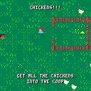 Chickens!!!